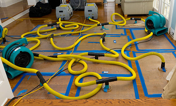Professional Sewage Cleanup technician working in Churchville, NY
